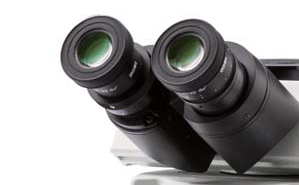 奧林巴斯Olympus顯微鏡BX53M的結構圖解