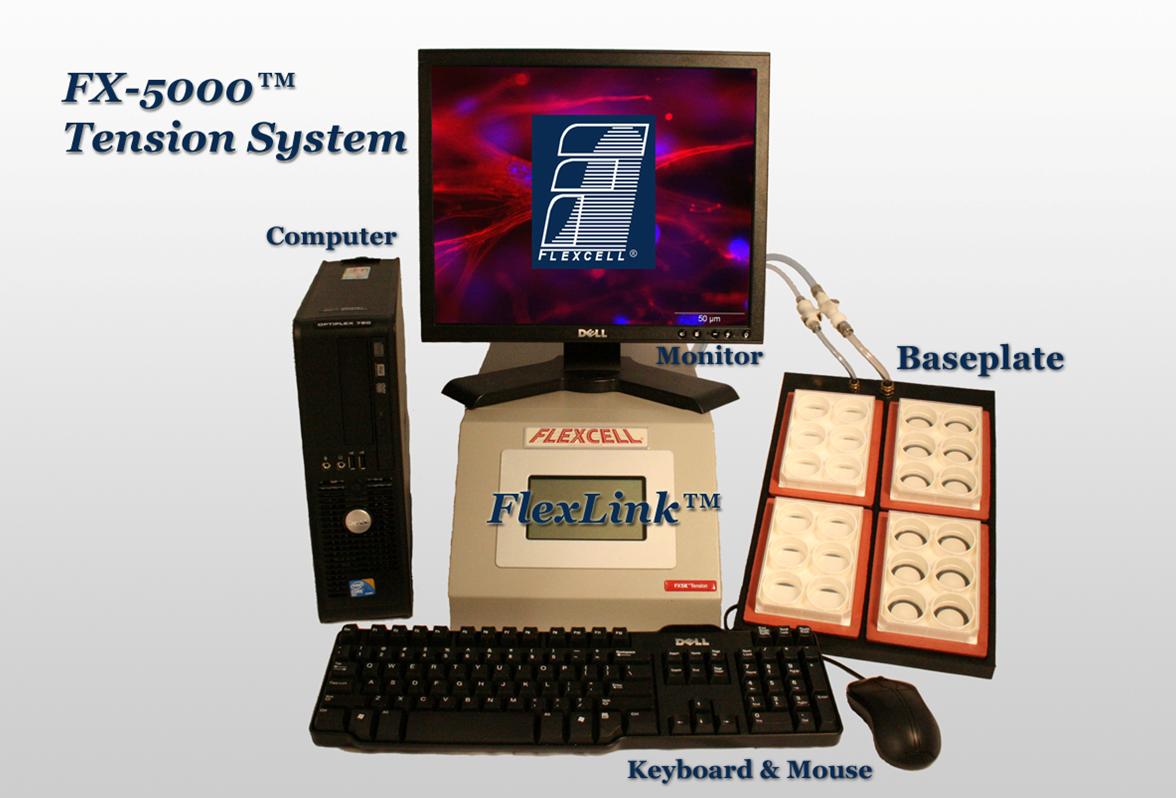 FX-5000TT三維細胞播種凝膠創建和細胞播種凝膠單軸向拉伸系統