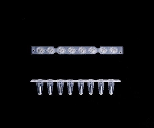 0.2ml八聯(lián)排PCR管，光學(xué)平蓋，透明，科進(jìn)/KIRGEN