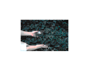 數(shù)字照度計
