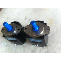 丹尼遜DENISON液壓泵規格T6DC-038-010-1R00-C100