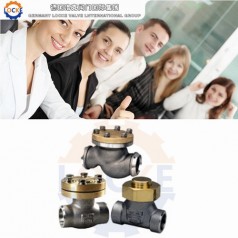 進(jìn)口液氬止回閥性能參數(shù),報(bào)價(jià)/價(jià)格,圖片