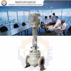 進口電動單座籠式調(diào)節(jié)閥性能參數(shù),報價/價格,圖片