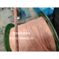 DJYVP、DJYPVP儀表信號計算機電纜生產廠家 天行品牌 生產定制