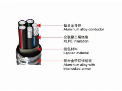 上善星 鋁合金電纜 只做精品 YJLH62-ACWU90廠家直銷(xiāo)