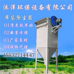 廠家特供 脈沖布袋除塵器除塵除煙廢氣處理凈化環保設備