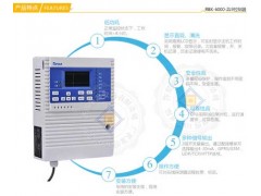 RBK-6000-ZL9 便于維護(hù)型甲烷報警器