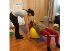 導樂球生產廠家  兩種型號   任你選擇