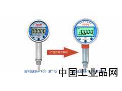 防爆型數字顯示溫度表