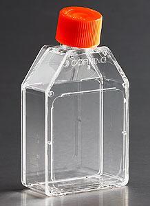 Corning 培養瓶 225cm&#178; 直角斜頸 聚酯蓋 材質 滅菌 散裝 3000