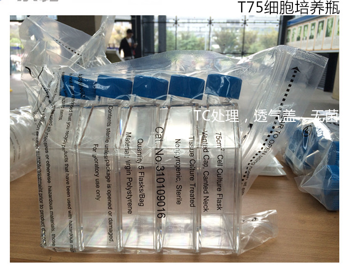 LabServ 75cm2細胞培養(yǎng)瓶 斜頸 密封蓋 聚苯乙烯 310109015
