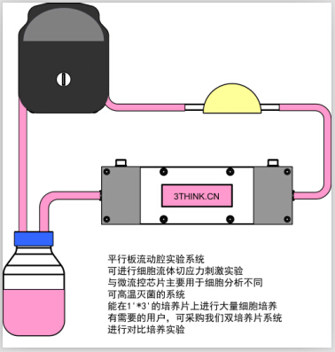 BIOCUL-S100流體細胞剪切力系統 細胞流體切應力 流動中的動態細胞培養