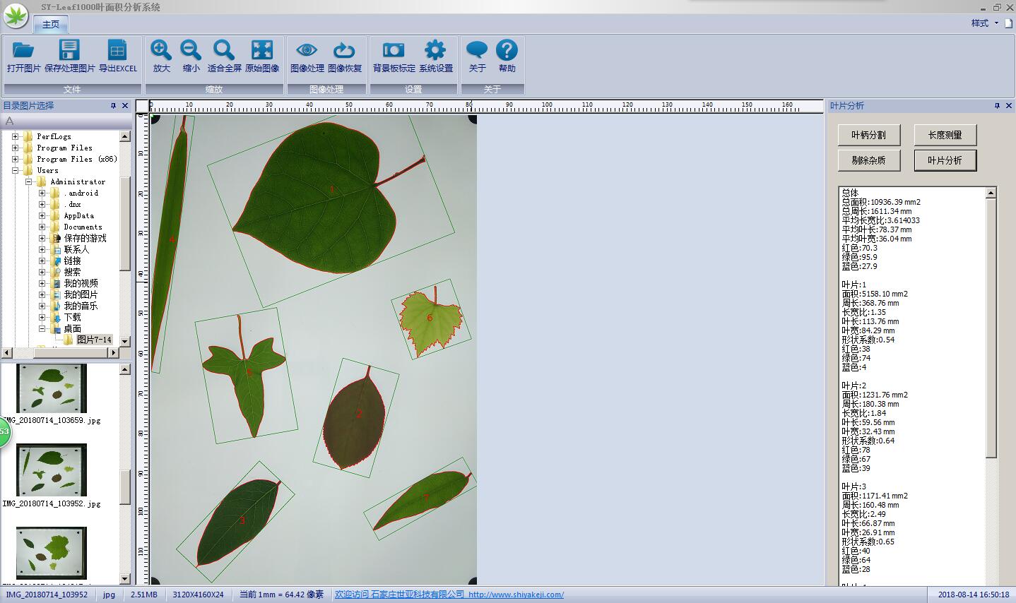SY-Leaf1000葉面積分析系統