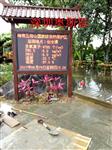 天然氧吧負氧離子濃度檢測 溫濕度氣象要素監測