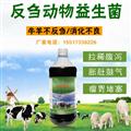 豆渣發酵劑發酵豆渣喂牛選農富康微生物豆渣發酵劑